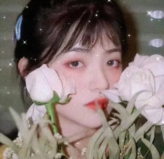 沉默的火腿